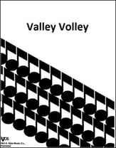 VALLEY VOLLEY SNARE DRUM SOLO cover